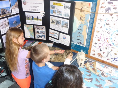 Stewards of the Coast & Redwoods Interactive Environmental Displays